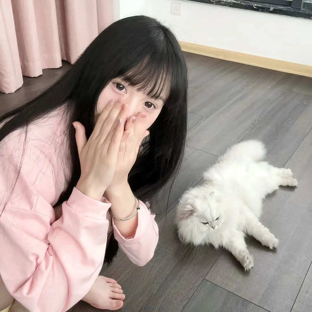 法网追凶 在线观看
