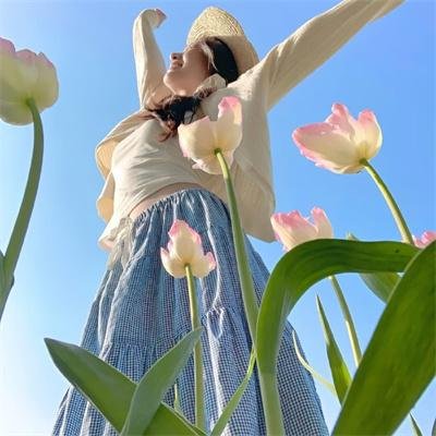 豪华旅馆 在线观看